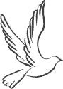 Dove